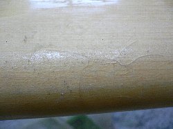 �G�|�L�V wood takayama model T rail 2